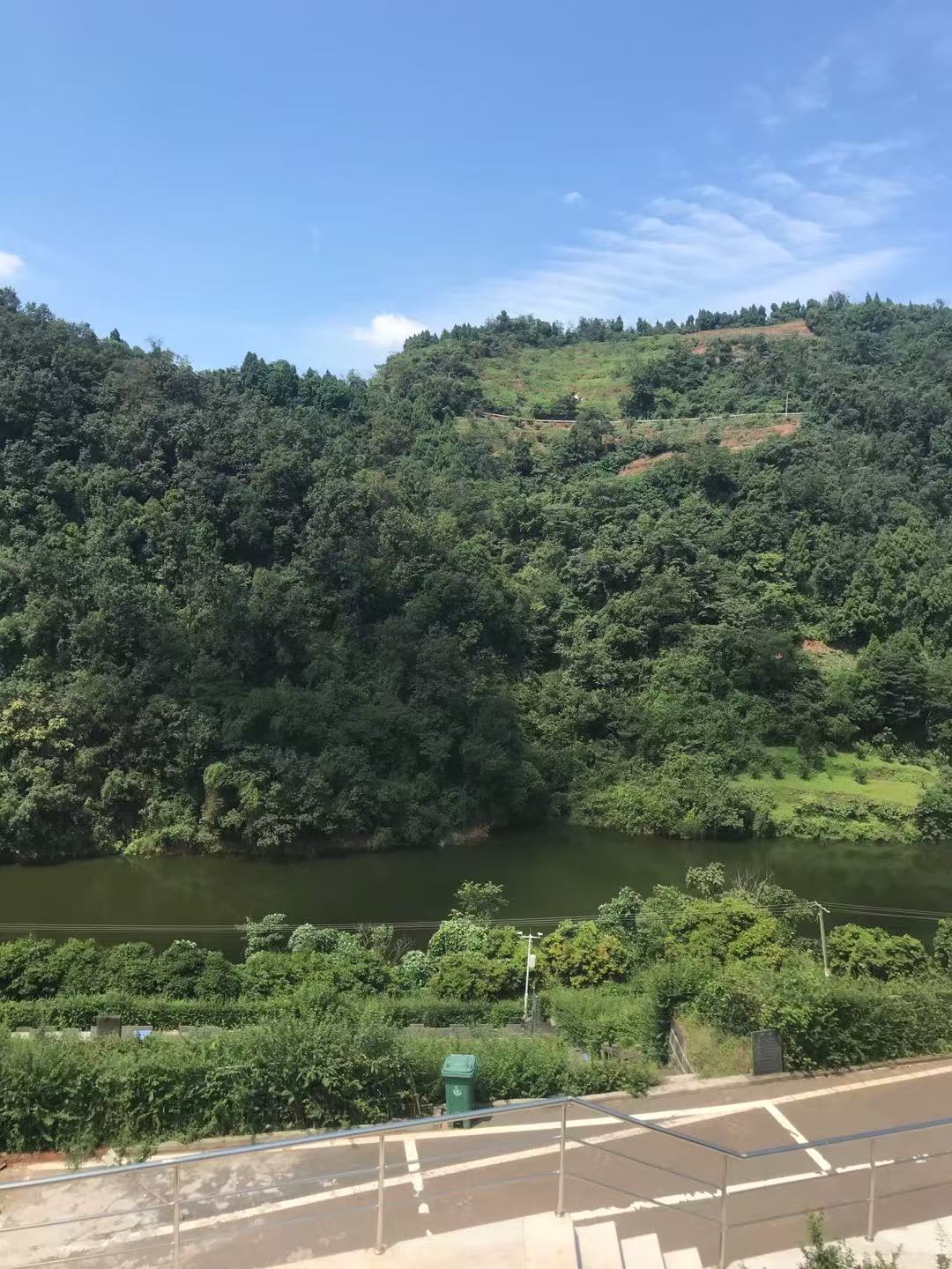卧龙寺公墓实景1