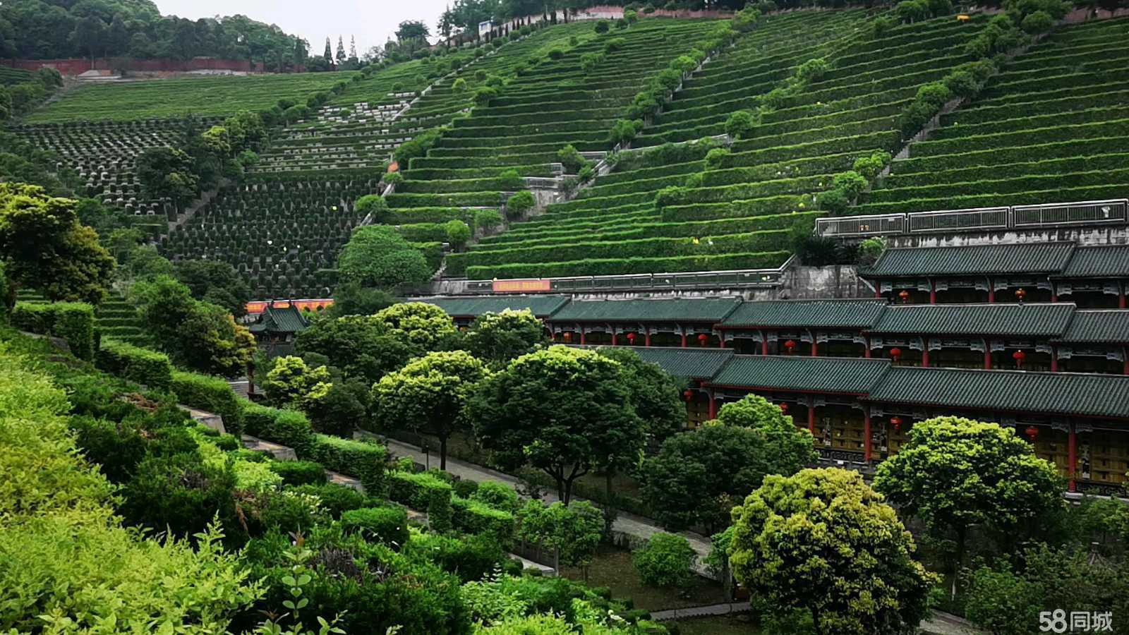 白塔山公墓实景4