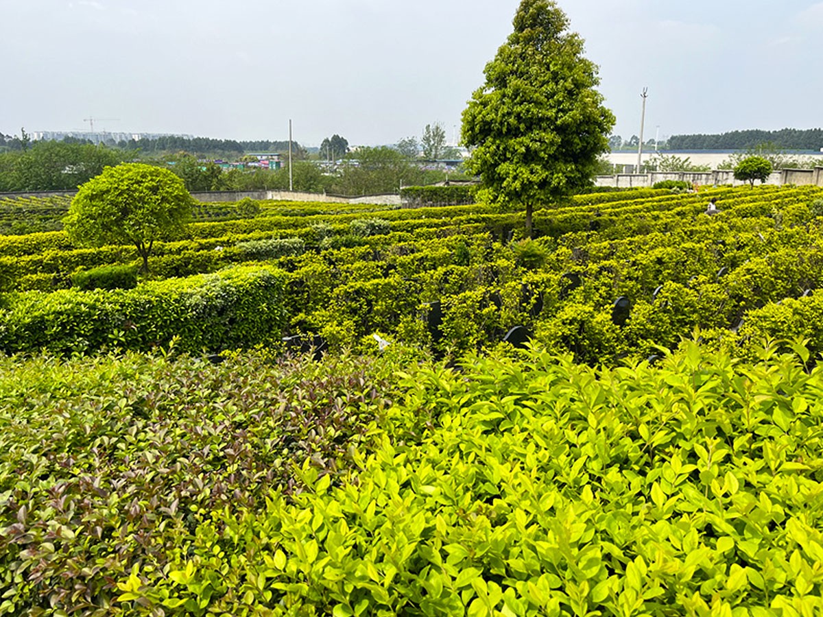 石岭公墓实景1